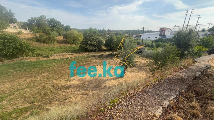 Quinta para Venda em Cebolais de Cima e Retaxo Foto 15