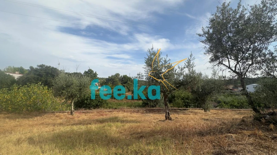 Quinta para Venda em Cebolais de Cima e Retaxo Foto 18