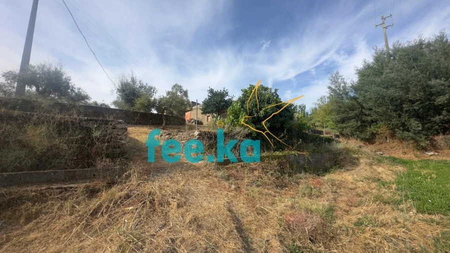 Quinta para Venda em Cebolais de Cima e Retaxo Foto 12