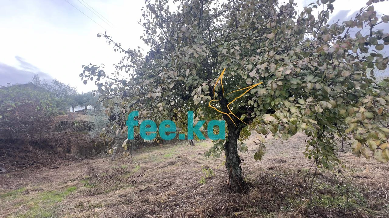 Quinta para Venda em Cebolais de Cima e Retaxo Foto 3