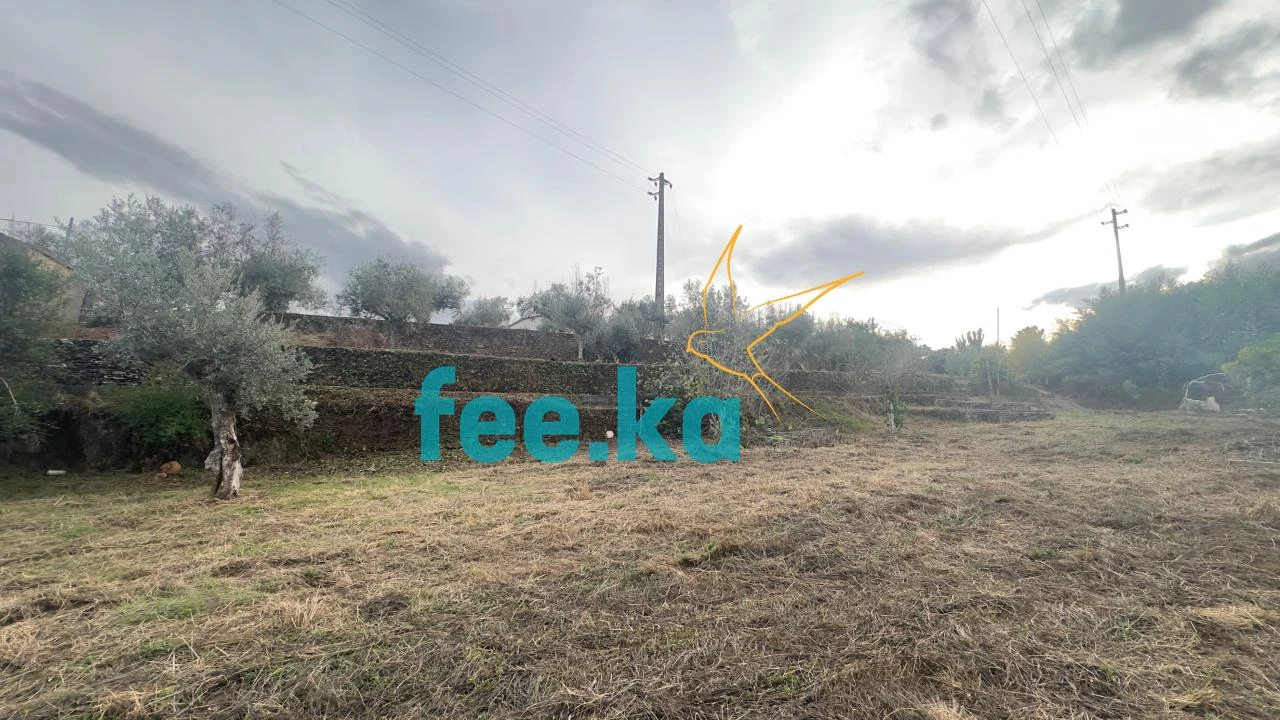 Quinta para Venda em Cebolais de Cima e Retaxo Foto 4