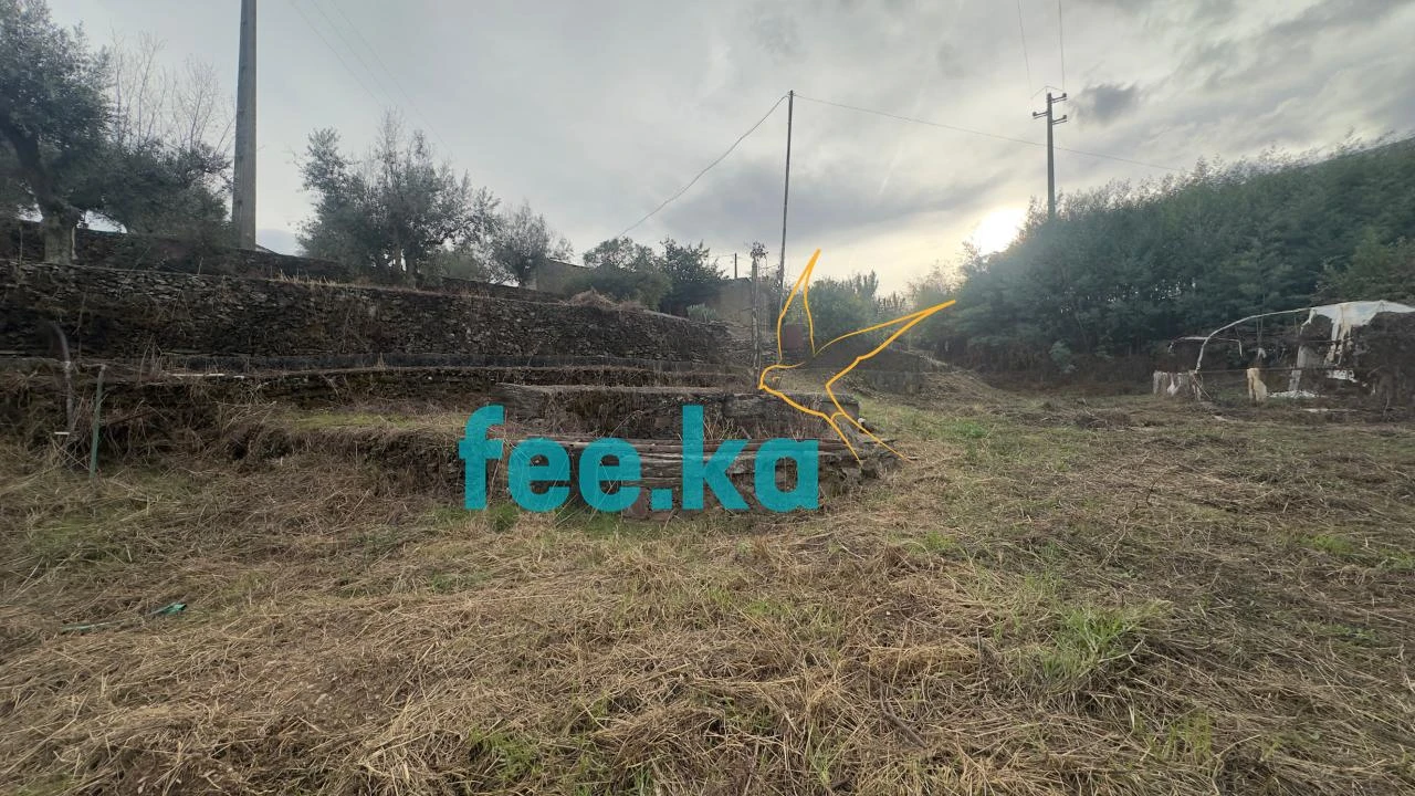 Quinta para Venda em Cebolais de Cima e Retaxo Foto 5