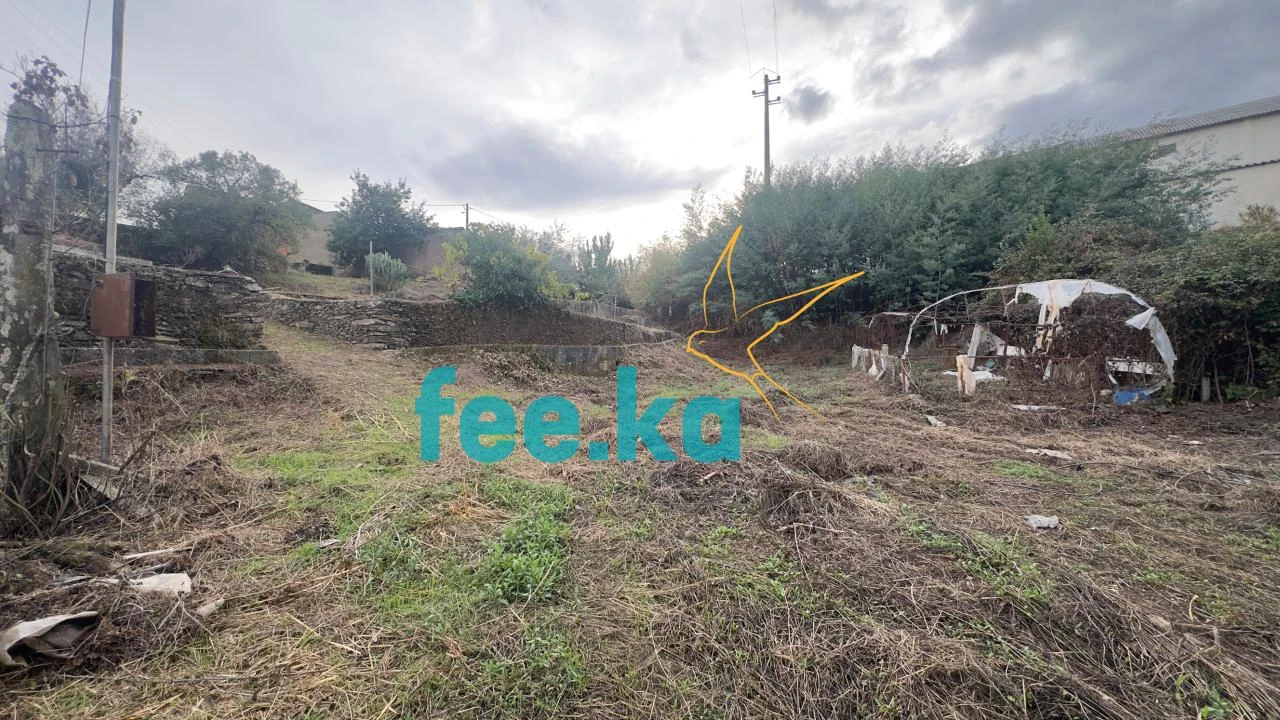 Quinta para Venda em Cebolais de Cima e Retaxo Foto 6