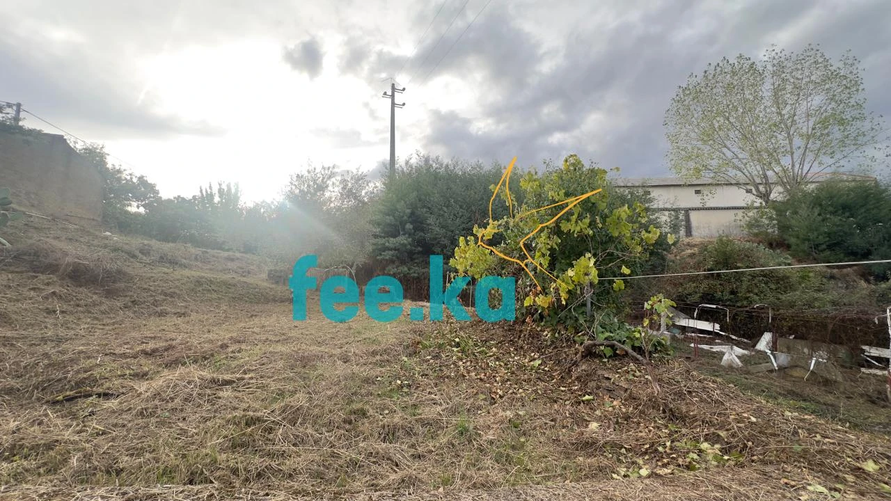 Quinta para Venda em Cebolais de Cima e Retaxo Foto 10