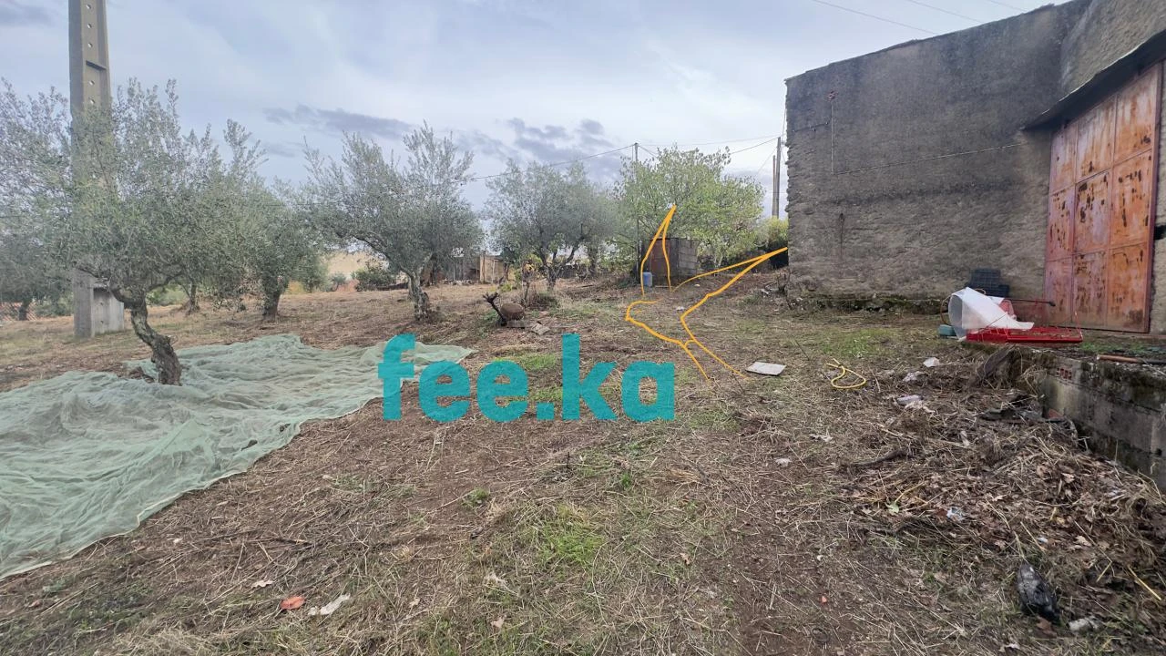 Quinta para Venda em Cebolais de Cima e Retaxo Foto 16