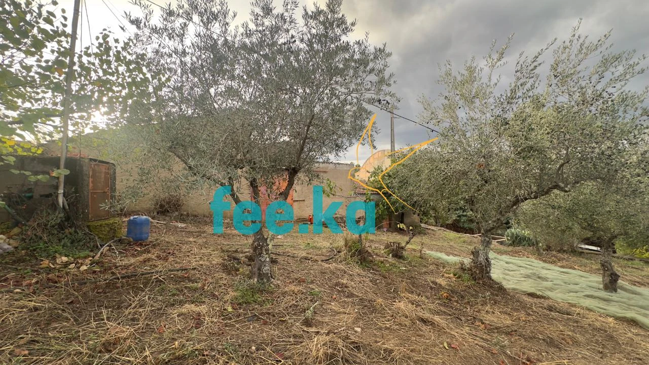 Quinta para Venda em Cebolais de Cima e Retaxo Foto 21