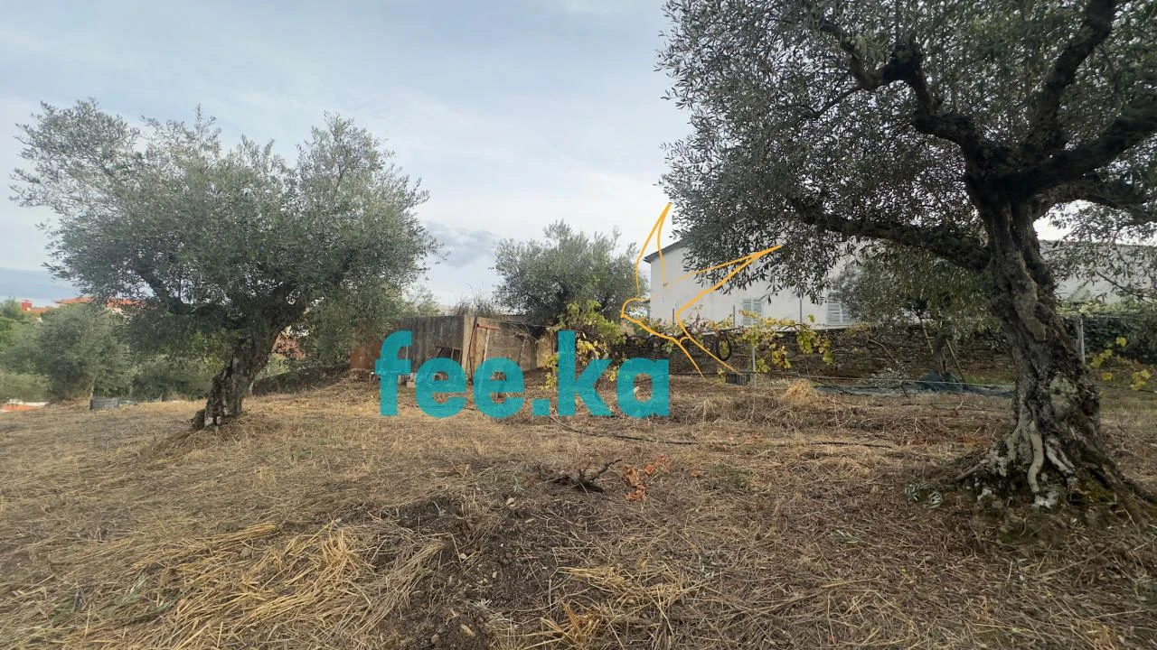 Quinta para Venda em Cebolais de Cima e Retaxo Foto 23