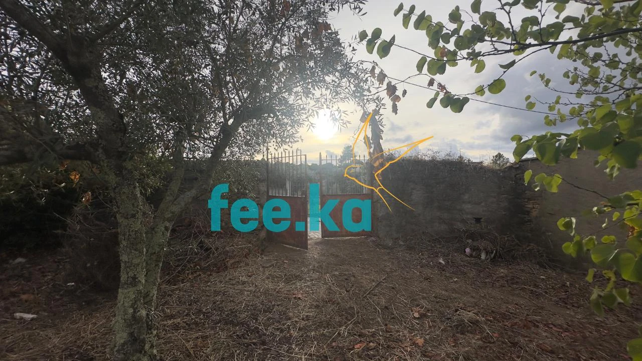 Quinta para Venda em Cebolais de Cima e Retaxo Foto 24