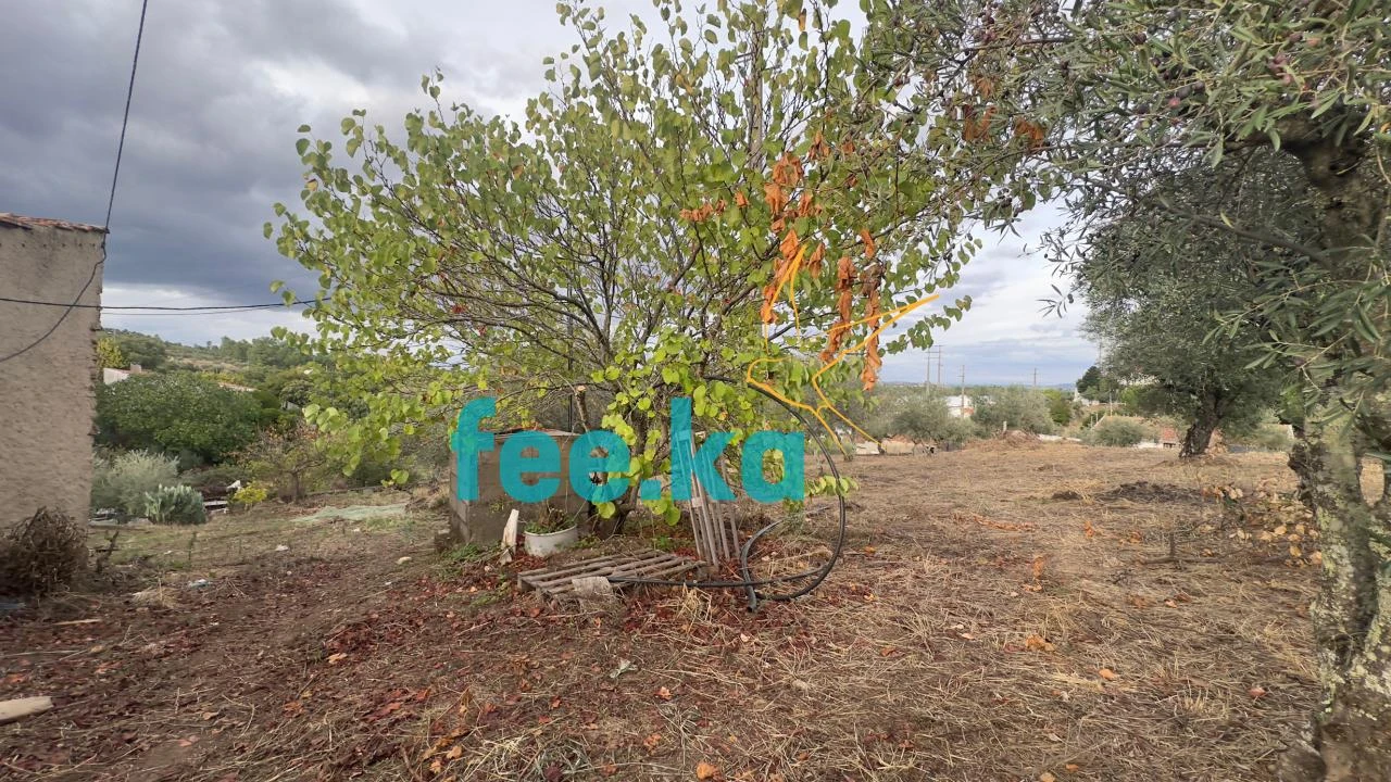 Quinta para Venda em Cebolais de Cima e Retaxo Foto 25