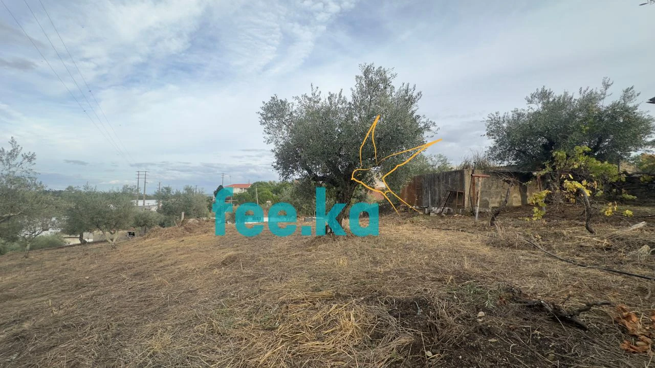 Quinta para Venda em Cebolais de Cima e Retaxo Foto 28