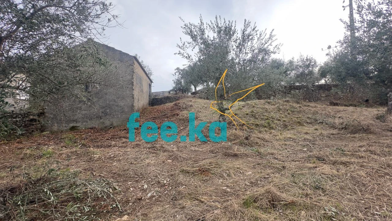 Quinta para Venda em Cebolais de Cima e Retaxo Foto 35