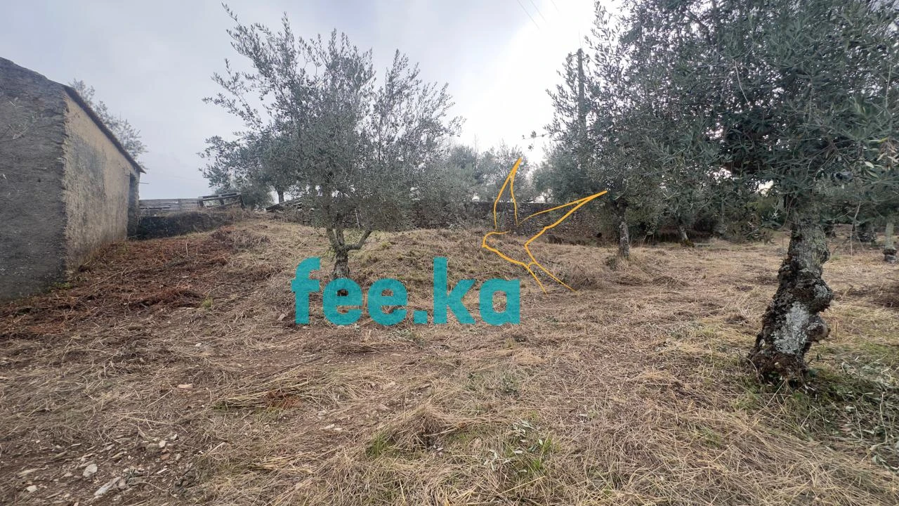 Quinta para Venda em Cebolais de Cima e Retaxo Foto 36