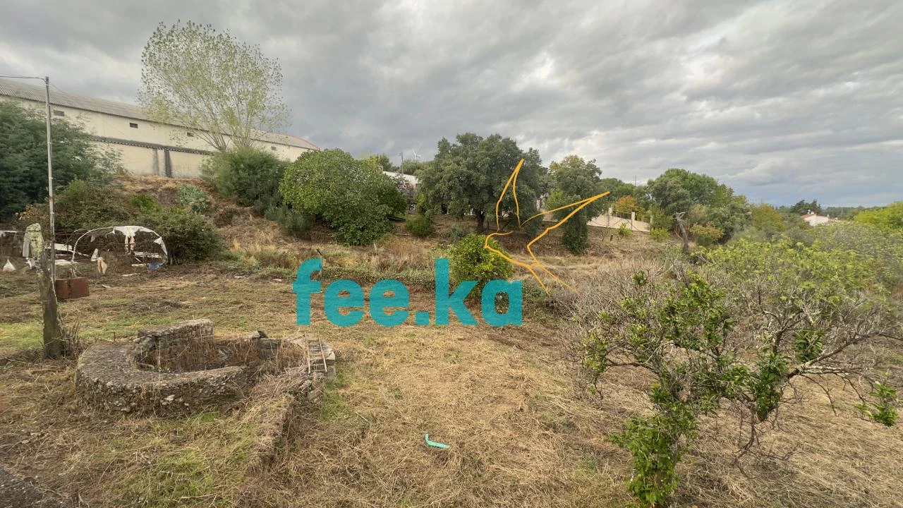 Quinta para Venda em Cebolais de Cima e Retaxo Foto 40
