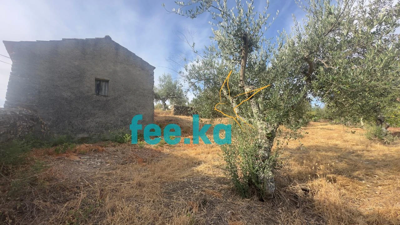 Quinta para Venda em Cebolais de Cima e Retaxo Foto 12