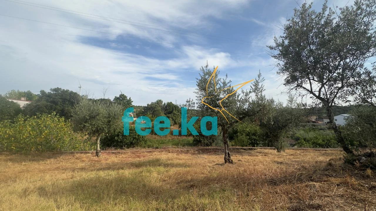 Quinta para Venda em Cebolais de Cima e Retaxo Foto 18