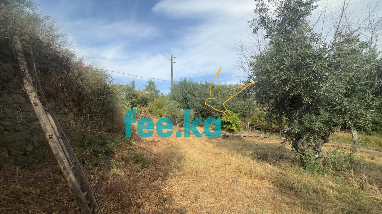 Quinta para Venda em Cebolais de Cima e Retaxo Foto 21