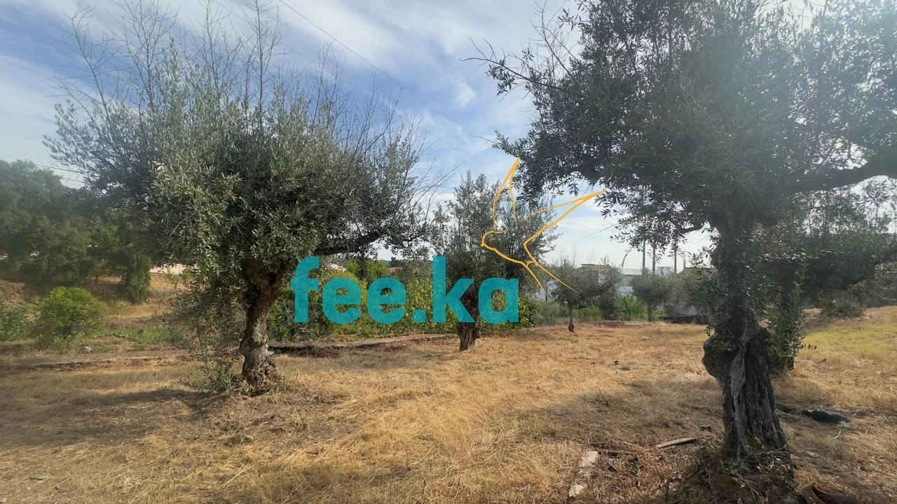 Quinta para Venda em Cebolais de Cima e Retaxo Foto 22