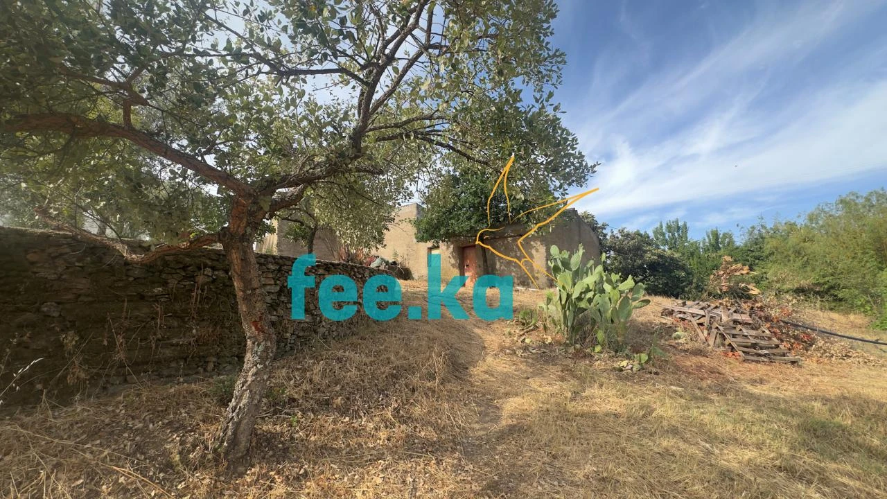 Quinta para Venda em Cebolais de Cima e Retaxo Foto 23