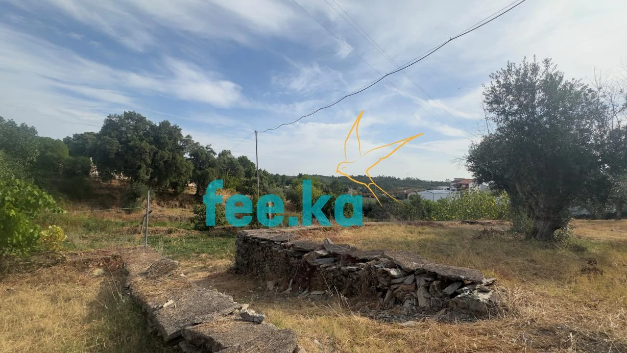 Quinta para Venda em Cebolais de Cima e Retaxo Foto 7