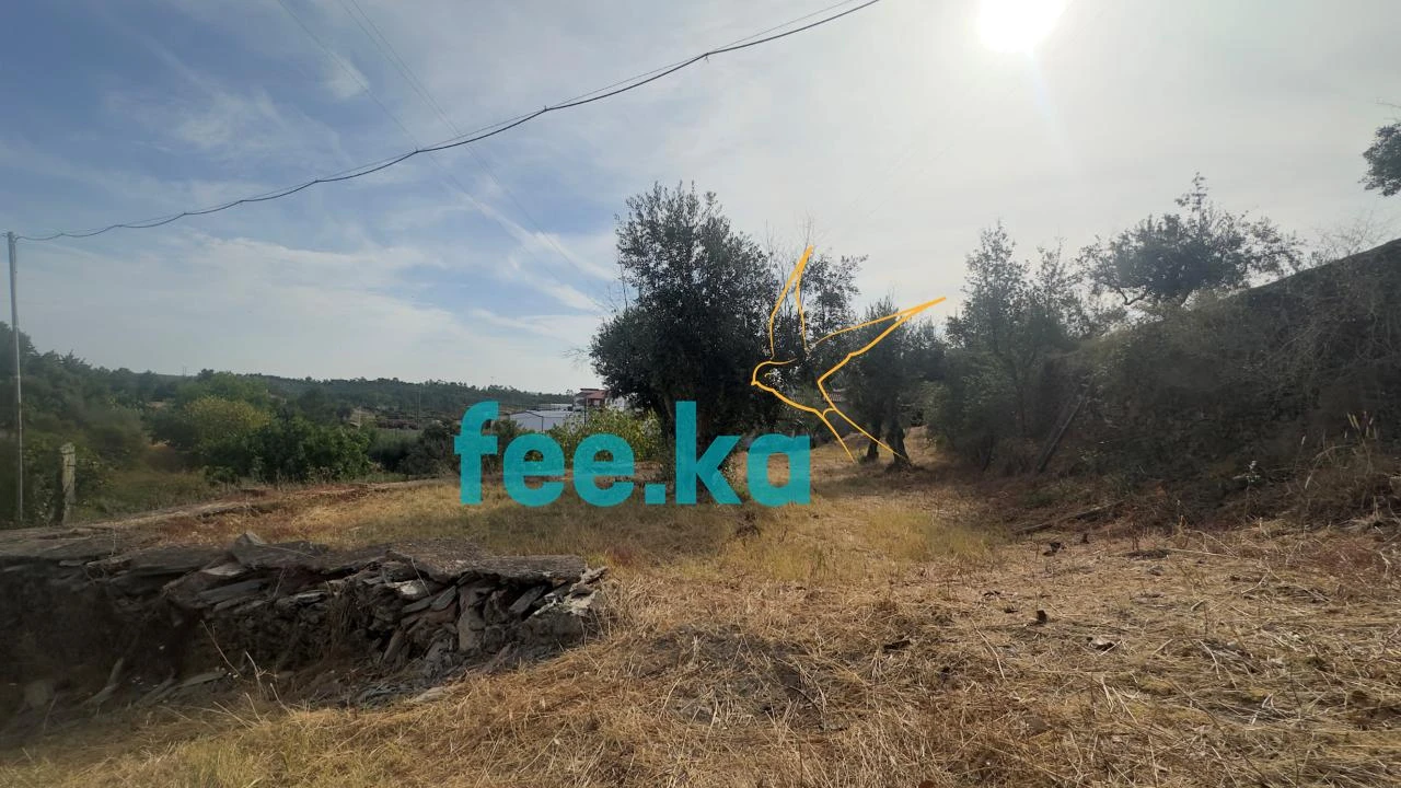 Quinta para Venda em Cebolais de Cima e Retaxo Foto 8