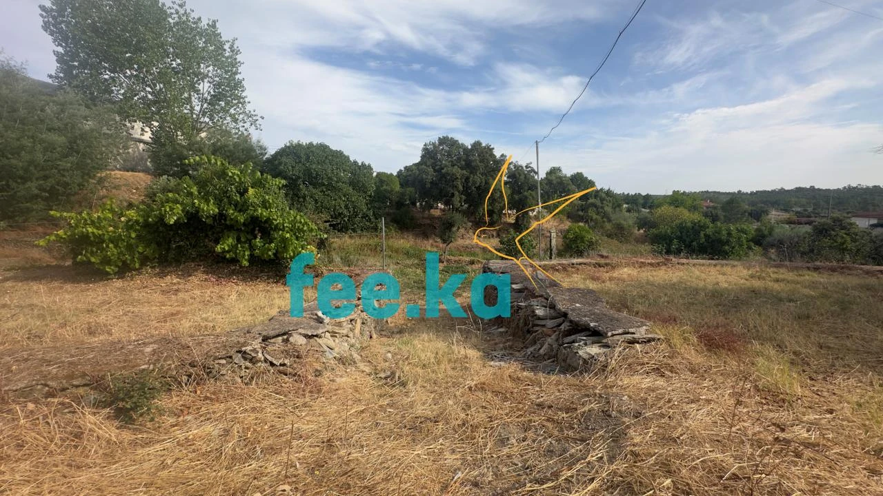 Quinta para Venda em Cebolais de Cima e Retaxo Foto 9