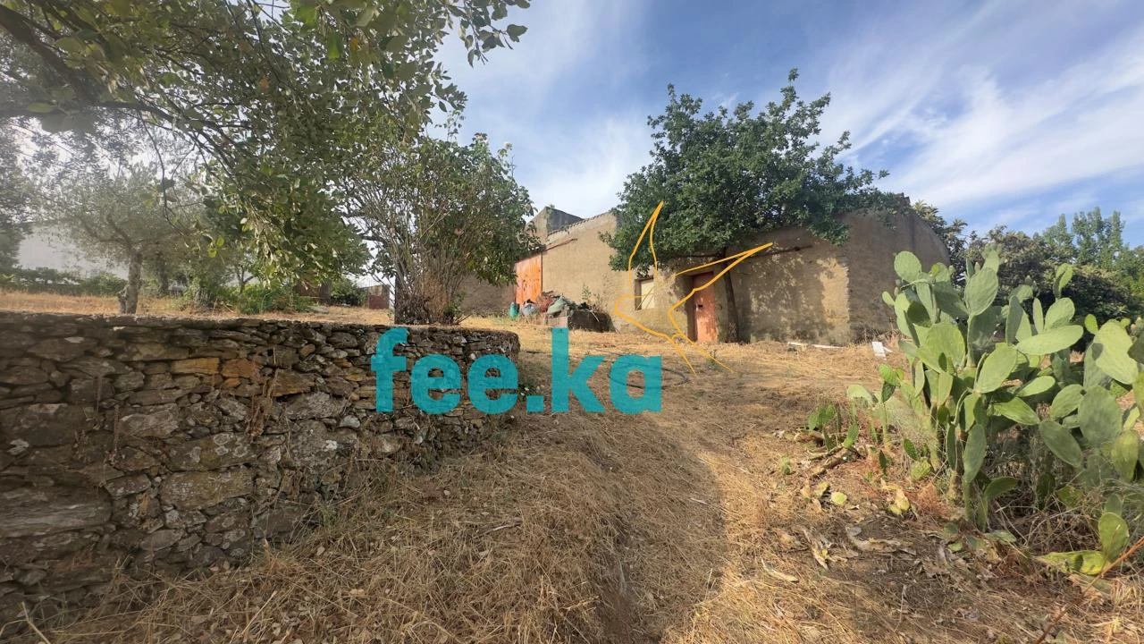 Quinta para Venda em Cebolais de Cima e Retaxo Foto 11