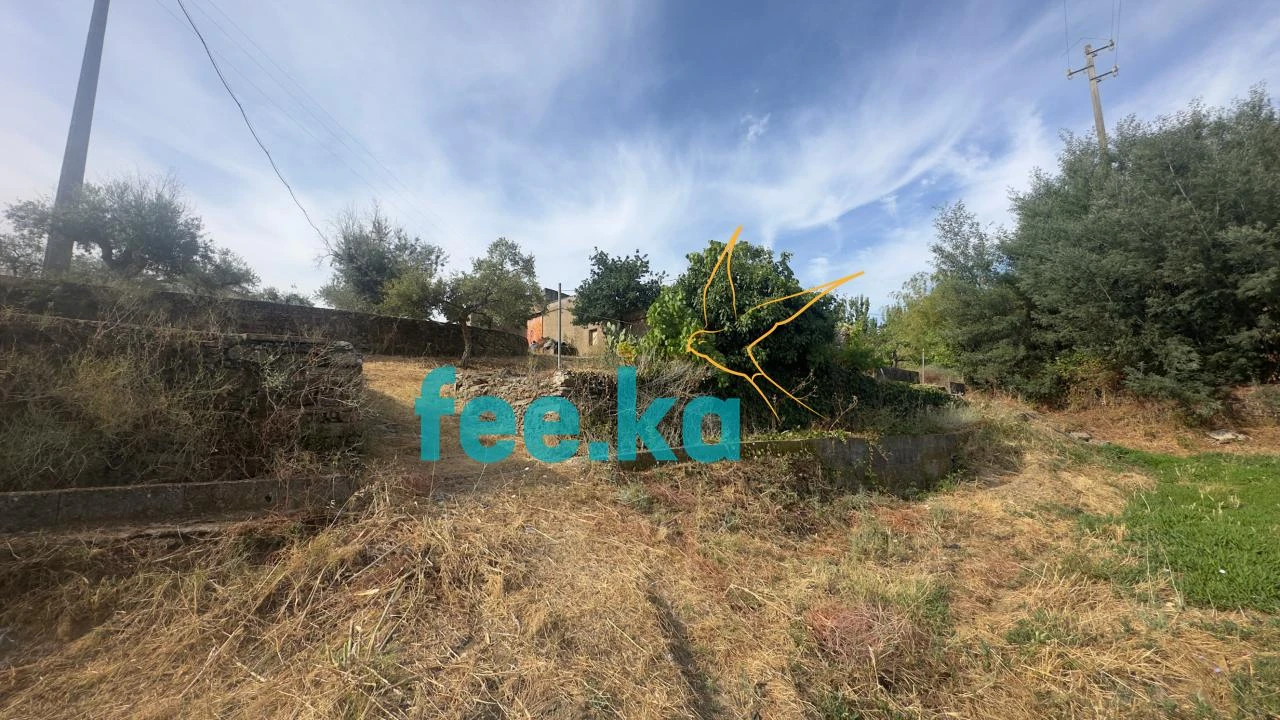Quinta para Venda em Cebolais de Cima e Retaxo Foto 12