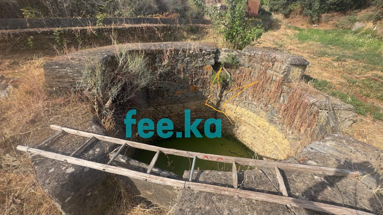 Quinta para Venda em Cebolais de Cima e Retaxo Foto 15