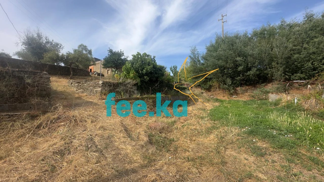 Quinta para Venda em Cebolais de Cima e Retaxo Foto 19