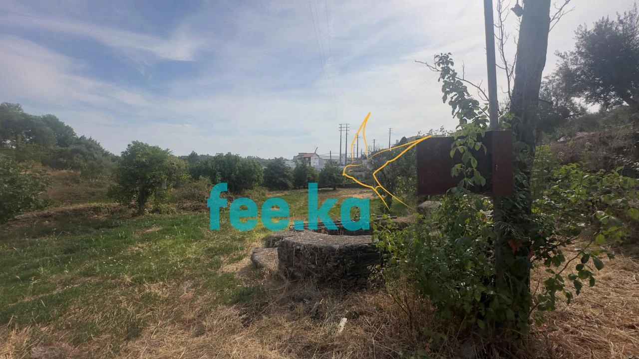 Quinta para Venda em Cebolais de Cima e Retaxo Foto 20