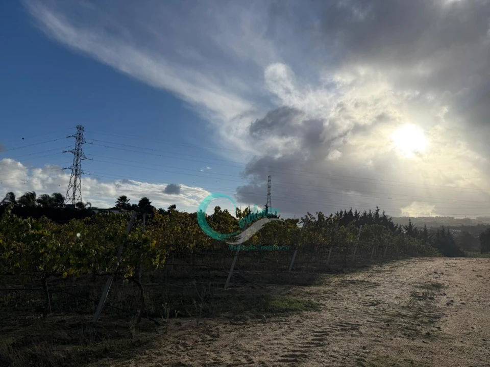 Terreno Agricola ou Rústico para Venda em Palmela Foto 2