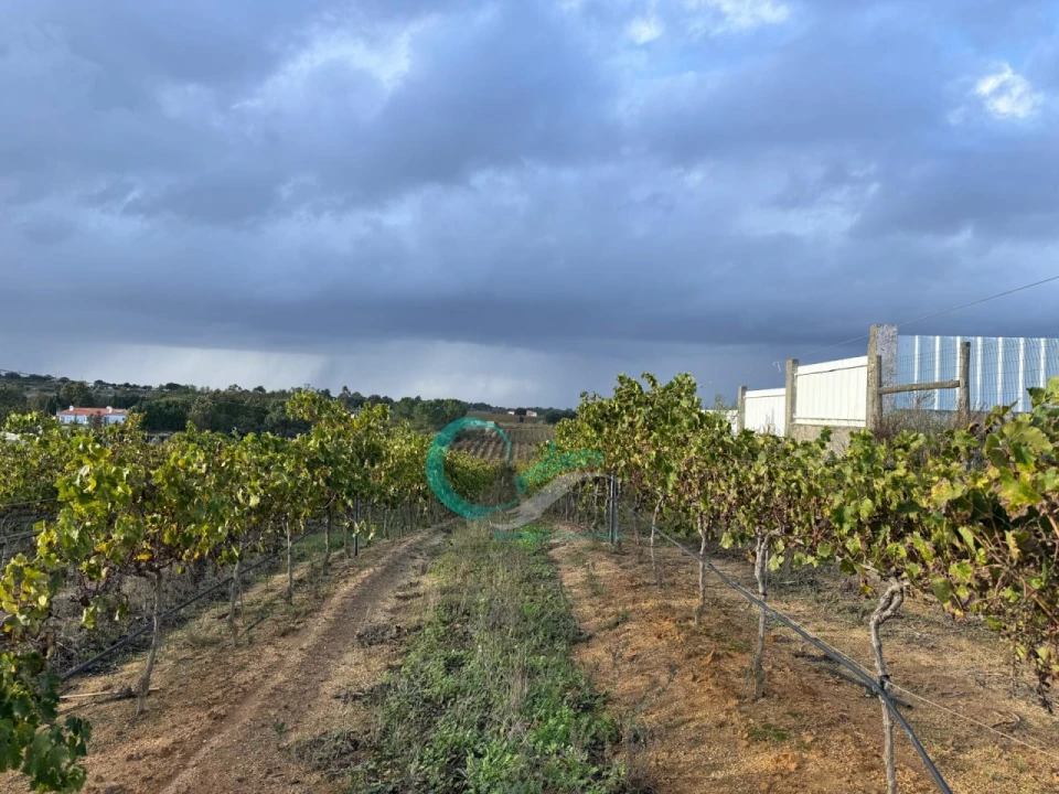 Terreno Agricola ou Rústico para Venda em Palmela Foto 1