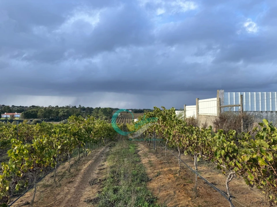 Terreno Agricola ou Rústico para Venda em Palmela Foto 5
