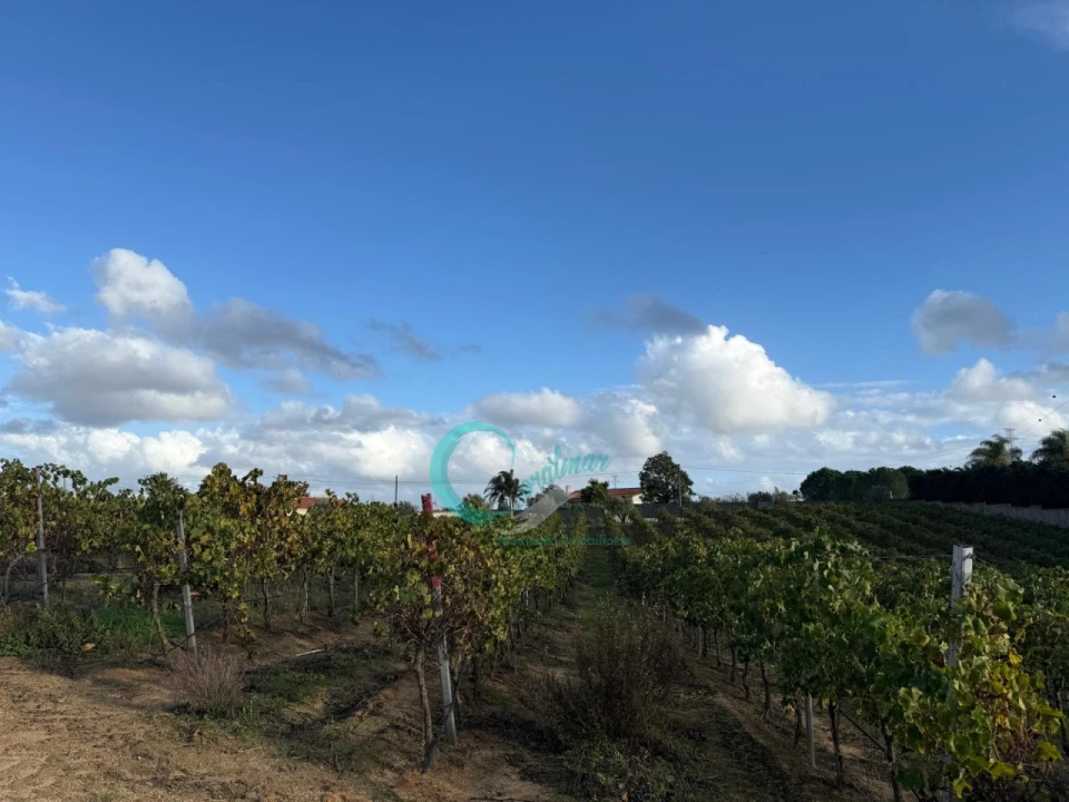 Terreno Agricola ou Rústico para Venda em Palmela Foto 7