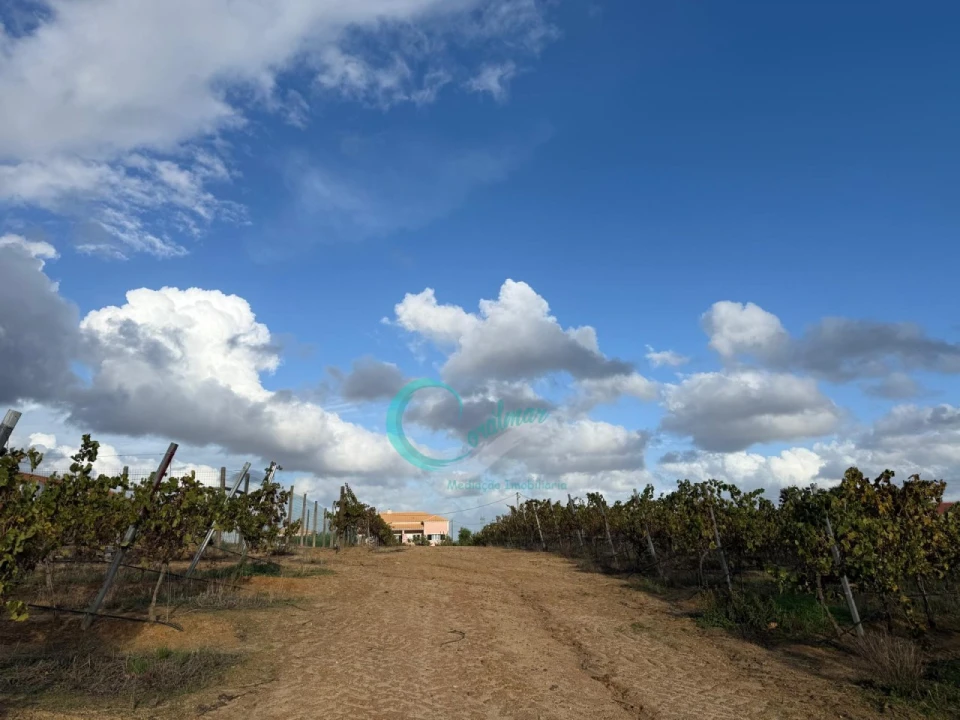 Terreno Agricola ou Rústico para Venda em Palmela Foto 8