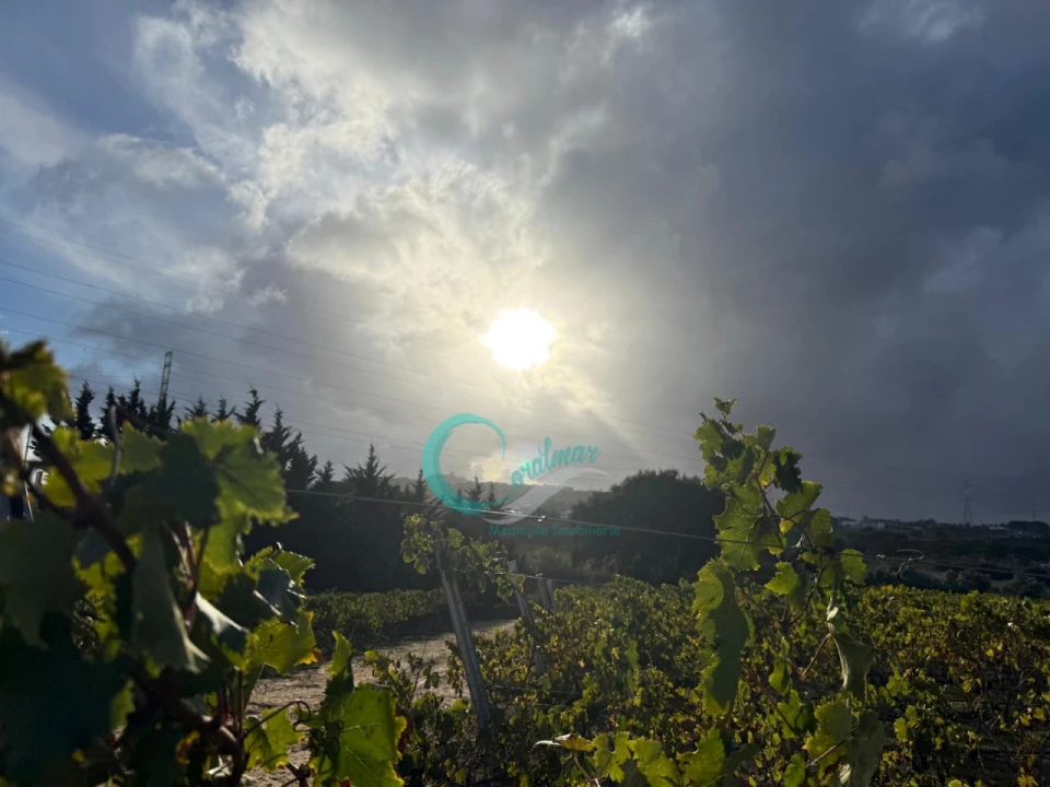Terreno Agricola ou Rústico para Venda em Palmela Foto 16