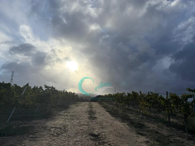 Terreno Agricola ou Rústico para Venda em Palmela Foto 3