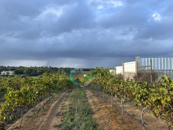 Terreno Agricola ou Rústico para Venda em Palmela Foto 5