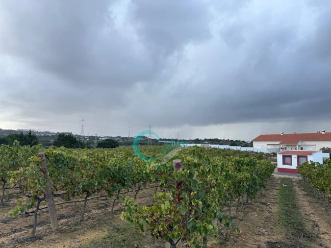 Terreno Agricola ou Rústico para Venda em Palmela Foto 13
