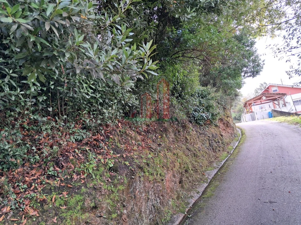 Terreno para Venda em Ceira Foto 4