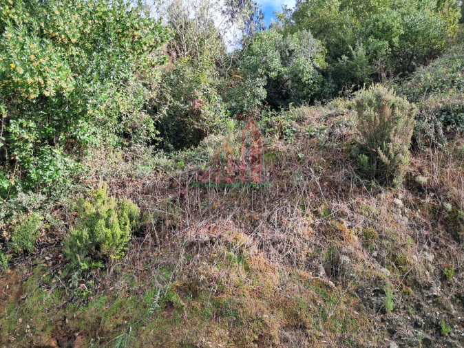 Terreno para Venda em Ceira Foto 11