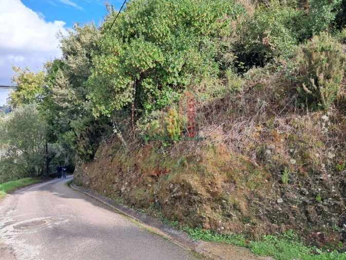 Terreno para Venda em Ceira Foto 9