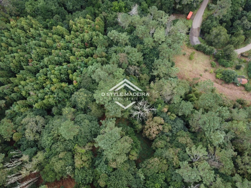 Terreno para Venda em São Vicente Foto 35