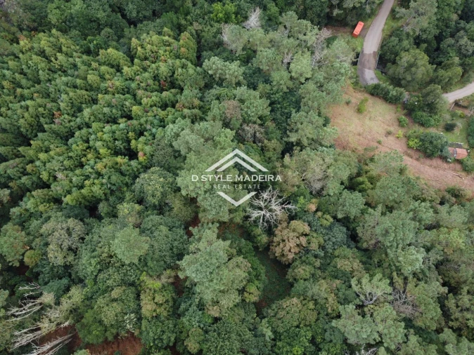 Terreno para Venda em São Vicente Foto 35