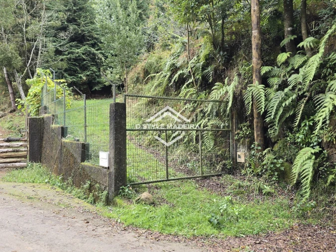 Terreno para Venda em São Vicente Foto 3
