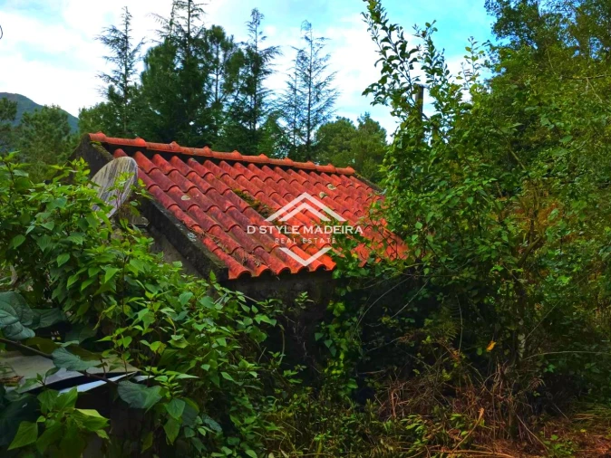 Terreno para Venda em São Vicente Foto 13