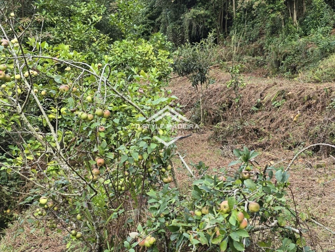 Terreno para Venda em São Vicente Foto 40