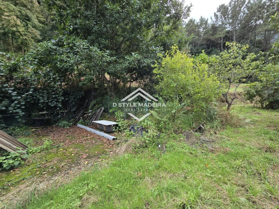 Terreno para Venda em São Vicente Foto 11