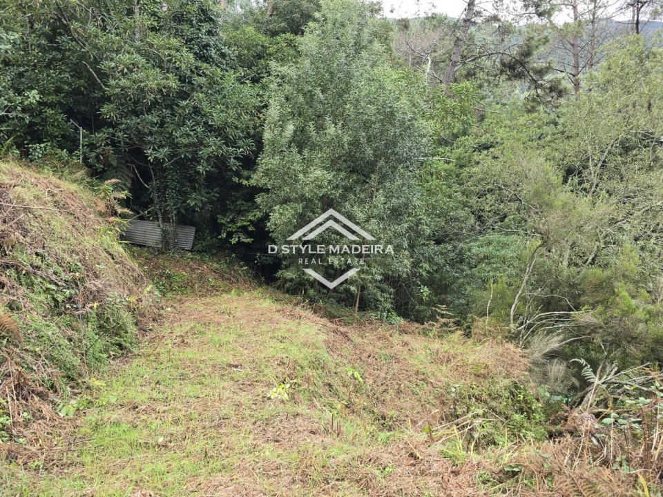 Terreno para Venda em São Vicente Foto 38