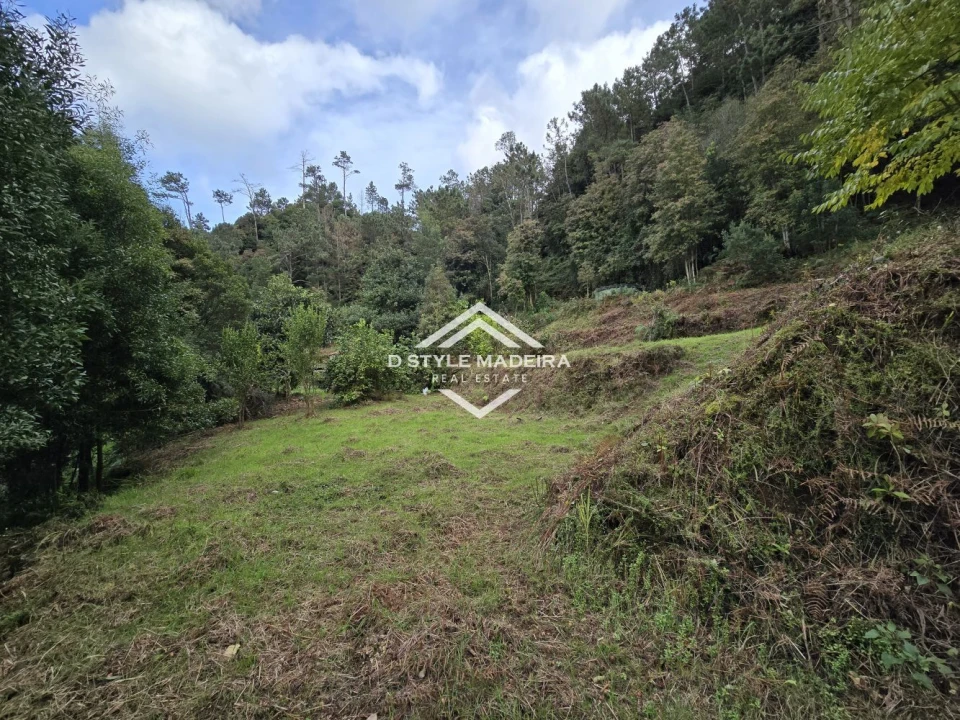Terreno para Venda em São Vicente Foto 37